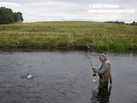 Playing a feisty Lowther fish